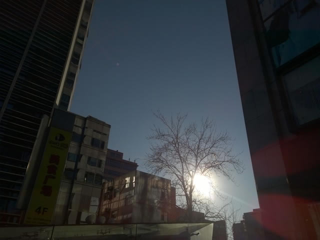 诺基亚Lumia930/苹果iPhone6 Plus比拍照