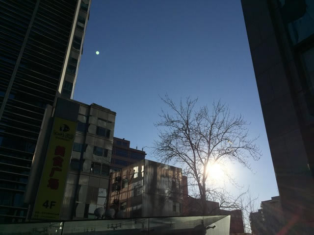 诺基亚Lumia930/苹果iPhone6 Plus比拍照