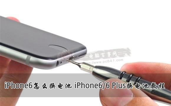 iPhone6/6 Plus怎么换电池? 三联
