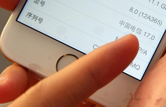 iPhone6/6 Plus全网通无法使用电信4G 本站