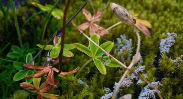 仍是800万像素 看看iPhone6 Plus如何做到拍照最佳_苹果手机_手机学院_本站