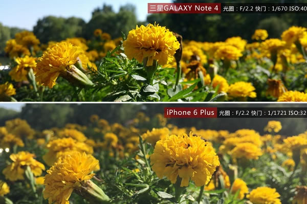 Note4和iPhone6 Plus拍照哪个好?三星Note4与苹果6 Plus拍照样张图对比_手机知识_手机学院_本站