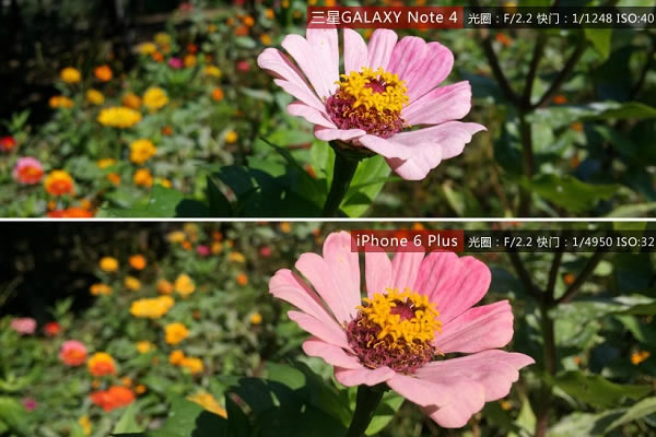 Note4和iPhone6 Plus拍照哪个好?三星Note4与苹果6 Plus拍照样张图对比_手机知识_手机学院_本站
