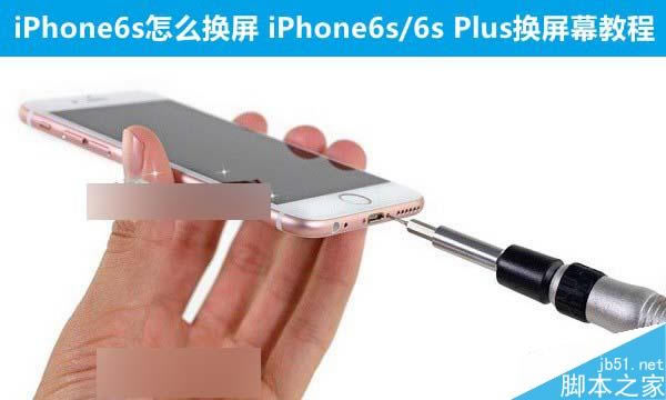 iPhone6s怎么换屏 iPhone6s/6s Plus换屏幕教程