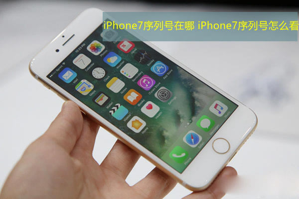 iPhone7к iPhone7кô