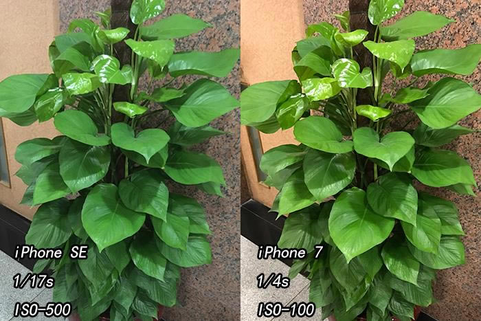 ۰iPhone 7:ϲ_ƻֻ_ֻѧԺ_վ