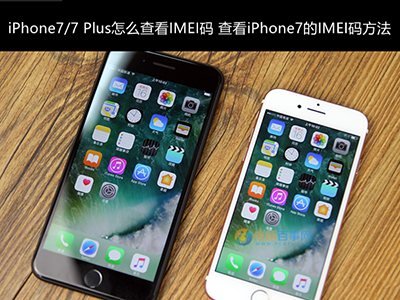 iPhone7/7 Plus IMEI码 怎么查看 iPhone7/7 Plus查看IMEI码的四种方法详解_苹果手机_手机学院_本站