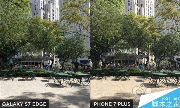 iPhone7 Plus和三星S7 Edge拍照哪个好?iPhone7 Plus和三星S7 Edge拍照对比评测_手机评测_手机学院_本站