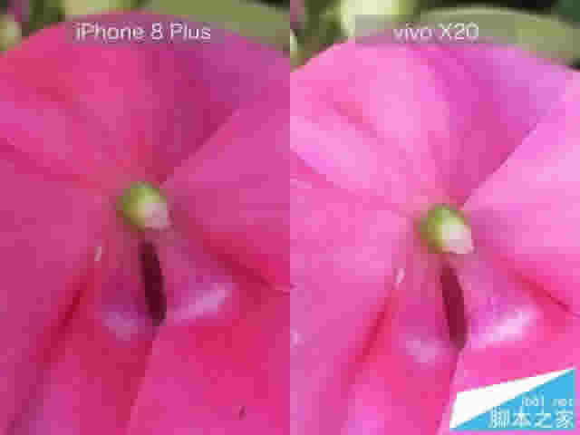 vivo X20iPhone8 Plusĸֵƻ8 plusvivo X20ȫͼ