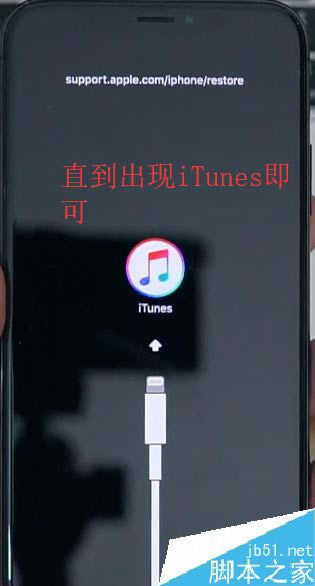 iPhone X怎么进入恢复模式?iPhone X进入恢复模式教程