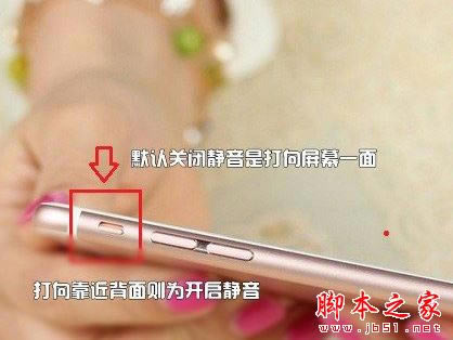iPhoneX怎么关拍照声?苹果iPhoneX静音拍照图文教程