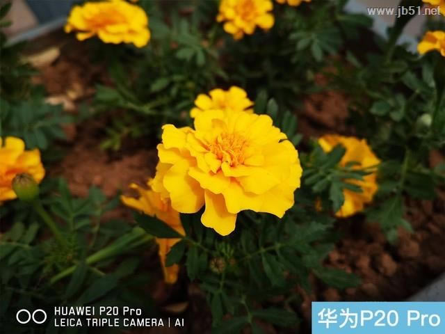 ΪP20 ProS9+iPhone XռĿãΪP20 ProS9+iPhone XԱ_ֻ_ֻѧԺ_վ
