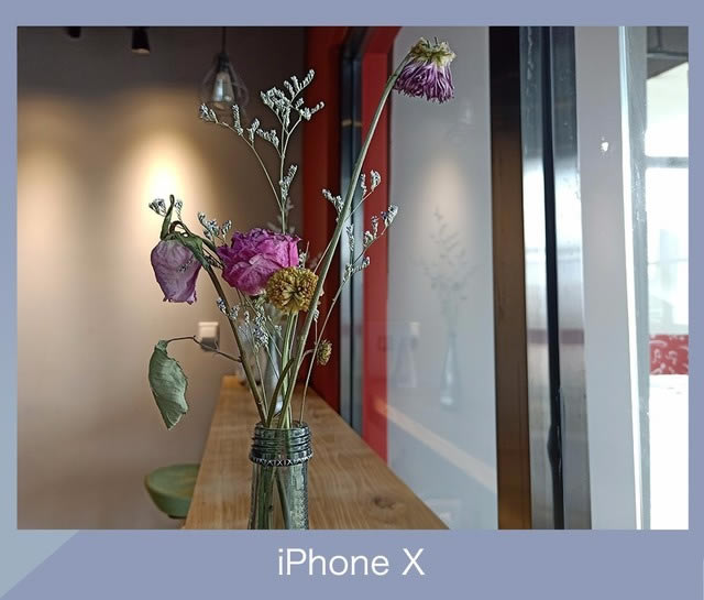 OPPO R15和iPhone X拍照哪个好?苹果X和OPPOR15相机规格及拍照样张对比_手机评测_手机学院_本站