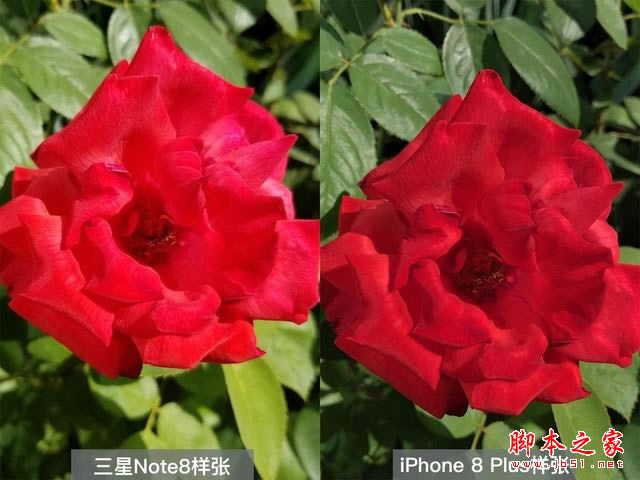 iPhone8P与三星Note8这十项正面刚