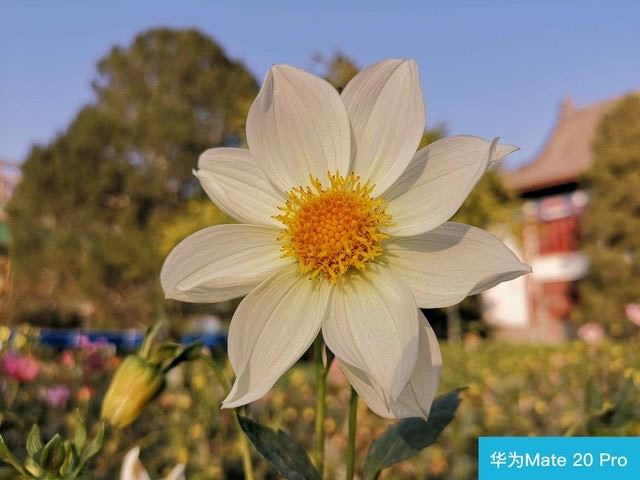 iPhone XS和华为Mate20 Pro哪个值得买 华为Mate20 Pro和苹果XS区别对比评测_手机评测_手机学院_本站