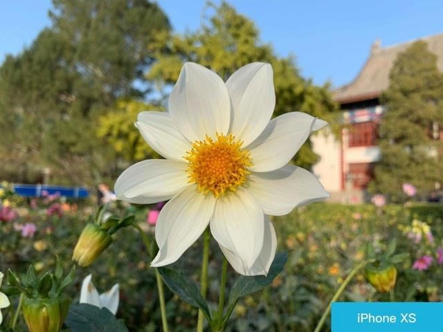 iPhone XS和华为Mate20 Pro哪个值得买 华为Mate20 Pro和苹果XS区别对比评测_手机评测_手机学院_本站