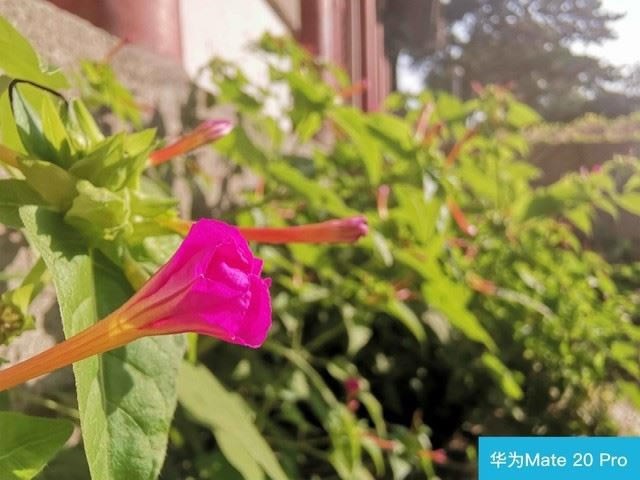 iPhone XS和华为Mate20 Pro哪个值得买 华为Mate20 Pro和苹果XS区别对比评测_手机评测_手机学院_本站