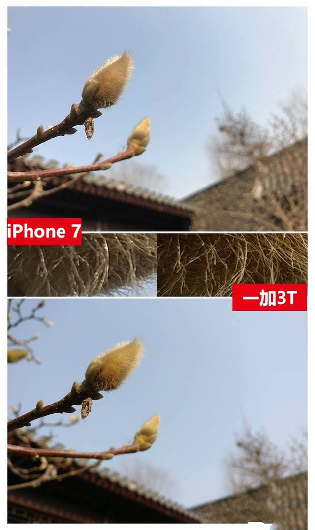1加手机3T与iPhone 7哪个拍照好？样张比较评测_手机技巧