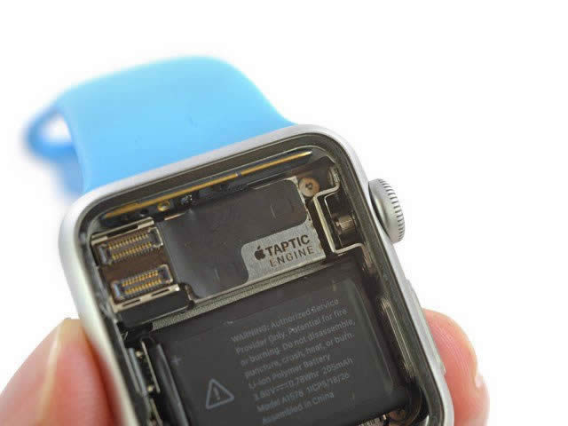 Apple Watchڲṹ