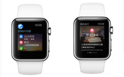 ʮ֧Apple WatchApp