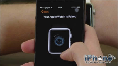 Apple Watch与iPhone6/6 Plus/5S/5配对指南_iphone指南