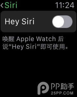 21ƻֱApple Watchʡ_