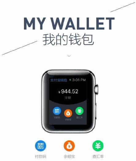 Apple Watch֧_