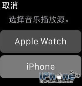 Apple Watchǿʡ缼_