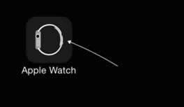 Apple WatchɾƬķ_ָ