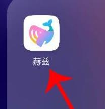 appôע˺ appע˺ŷ