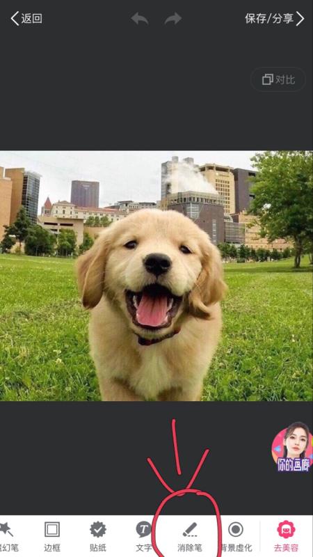 ͼΪʲôû ͼ