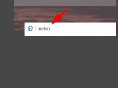 melonôע melonע̳