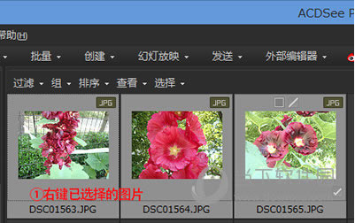 acdsee如何转换图片格式 acdsee转换图片格式图文教程