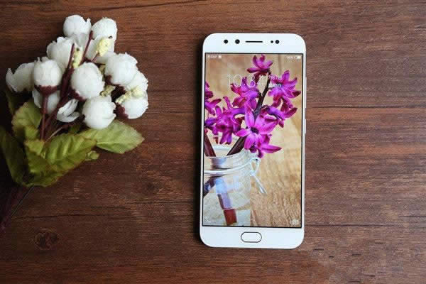 vivo X9vivo Y67ĸЩ_ֻ