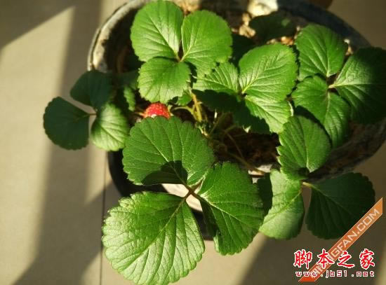 魅族MX4 Pro对比小米Note 旗舰对决 对比测评_手机评测_手机学院_本站