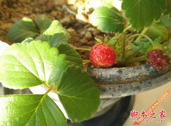 魅族MX4 Pro对比小米Note 旗舰对决 对比测评_手机评测_手机学院_本站