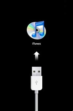 iTunesָ̼iPhoneδ֪1015ô