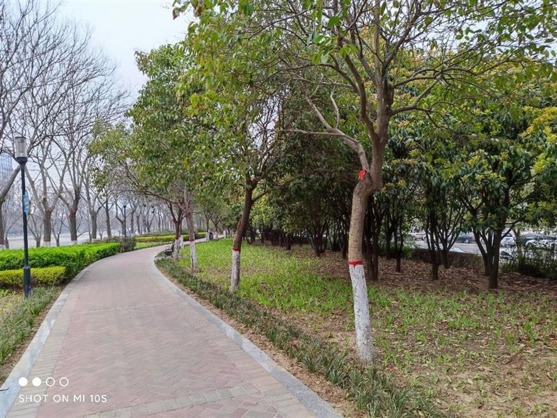 小米10S值得买吗 小米10S手机详细评测_手机评测_手机学院_本站