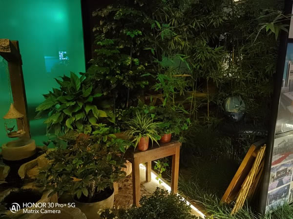 荣耀30Pro+和小米10 Pro夜拍哪个好?荣耀30Pro+对比小米10 Pro夜拍评测_手机评测_手机学院_本站