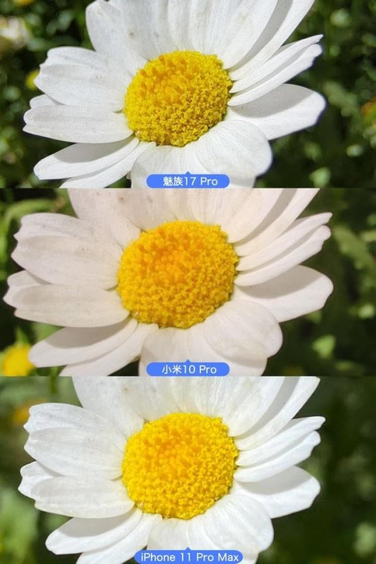 魅族17 Pro/小米10 Pro/苹果11 Pro Max拍照对比
