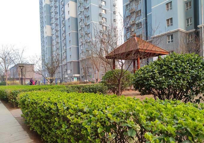 追求性能与功耗平衡的小米10S手机评测_手机评测_手机学院_本站