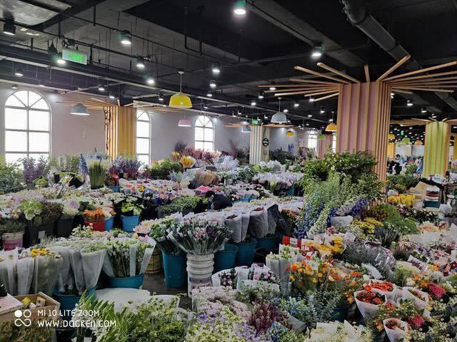 小米10青春版拍照体验:50X潜望式超长焦镜头到底好用吗?