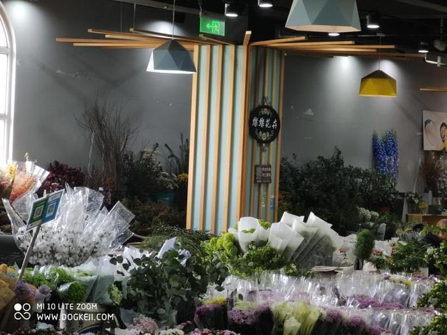 小米10青春版拍照体验:50X潜望式超长焦镜头到底好用吗?