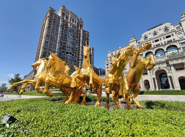 荣耀50Pro与小米11拍照哪个好 荣耀50Pro和小米11拍照对比_手机评测_手机学院_本站