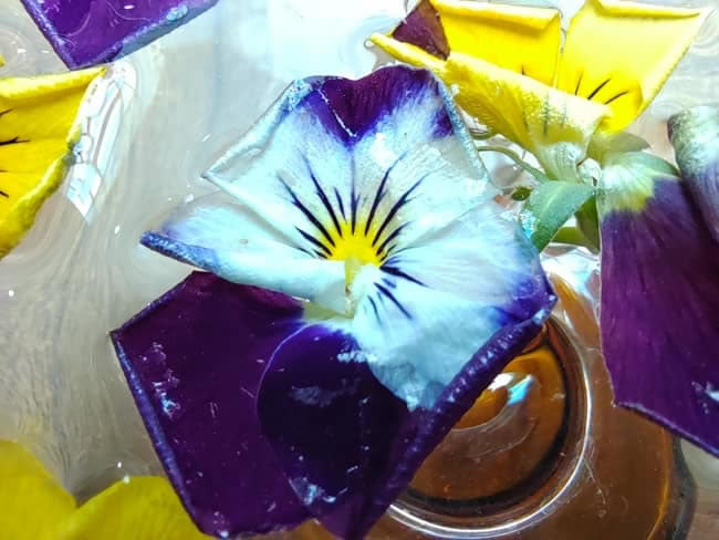 荣耀50Pro与小米11拍照哪个好 荣耀50Pro和小米11拍照对比_手机评测_手机学院_本站