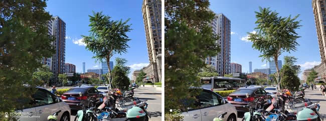 荣耀50Pro与小米11拍照哪个好 荣耀50Pro和小米11拍照对比_手机评测_手机学院_本站