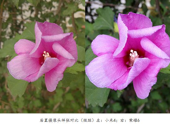 小米4和华为荣耀6手机哪款好?小米4与荣耀6全方面区别对比详细图解_安卓手机_手机学院_本站