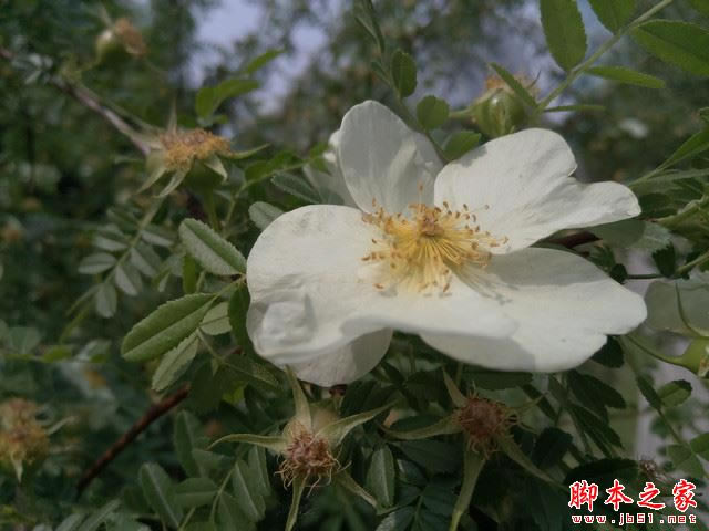900Ǯ 2/С5׼Ա 