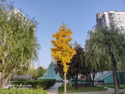 小米CC9 Pro值不值得买 小米CC9 Pro手机详细评测_手机评测_手机学院_本站