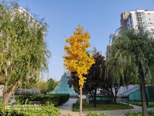 小米CC9 Pro值不值得买 小米CC9 Pro手机详细评测_手机评测_手机学院_本站